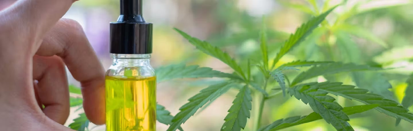 Here’s How CBD Can Help With Stress – Papa & Barkley