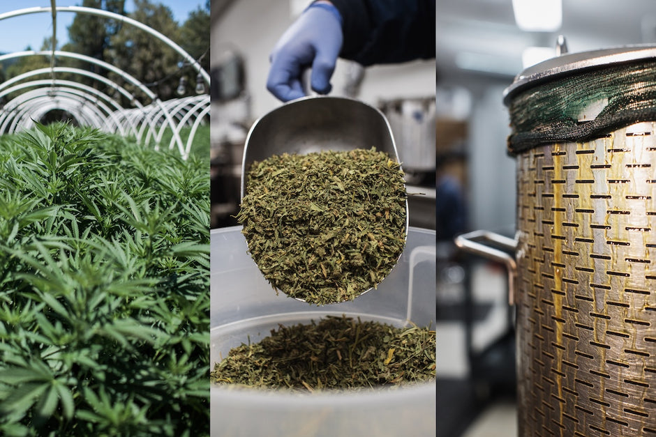 Releaf Balm – Papa & Barkley